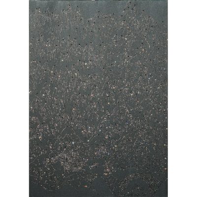 ARTIFICIAL LANDSCAPE– Stuffed Drawing Black 194.0 x 130.3cm Mixed media & Swarovski’s cut crystals on canvas 2006